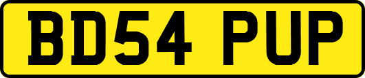 BD54PUP