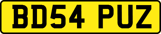BD54PUZ
