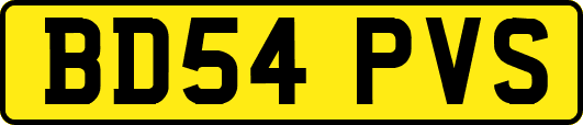 BD54PVS
