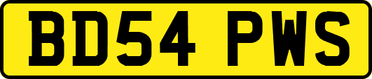 BD54PWS
