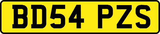 BD54PZS