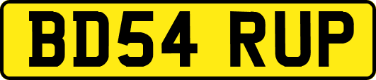 BD54RUP