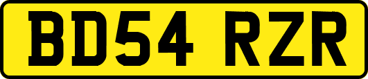 BD54RZR