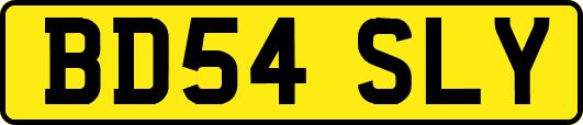 BD54SLY