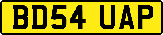 BD54UAP