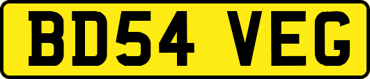 BD54VEG