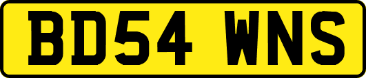 BD54WNS