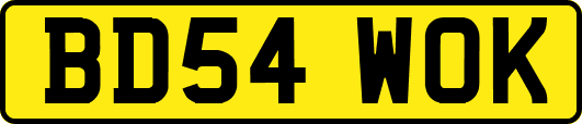 BD54WOK