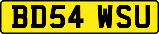 BD54WSU