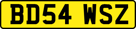 BD54WSZ