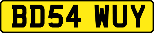 BD54WUY