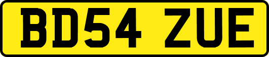 BD54ZUE
