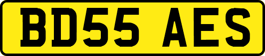 BD55AES