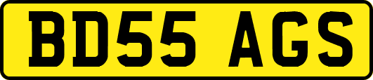 BD55AGS