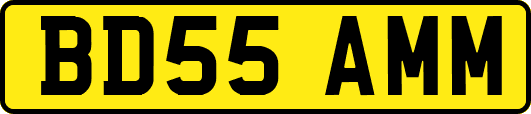 BD55AMM