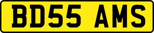 BD55AMS