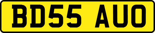 BD55AUO