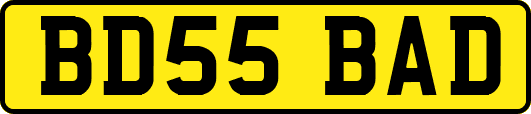 BD55BAD