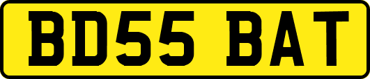 BD55BAT