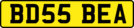 BD55BEA