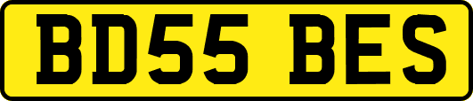 BD55BES