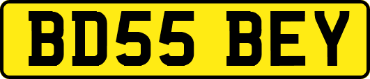BD55BEY