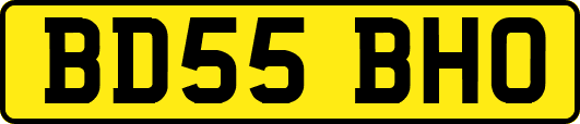 BD55BHO