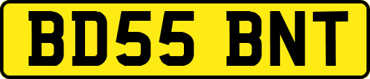 BD55BNT