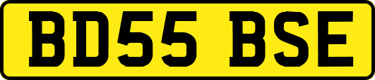 BD55BSE