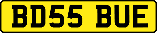 BD55BUE