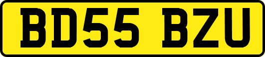 BD55BZU
