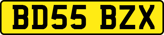 BD55BZX