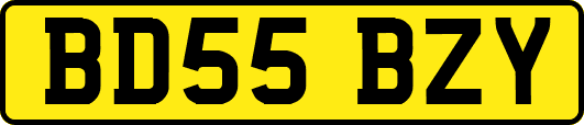 BD55BZY