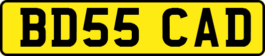 BD55CAD