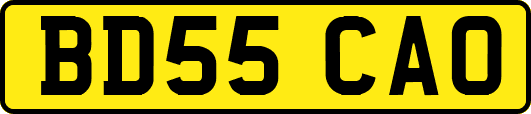 BD55CAO