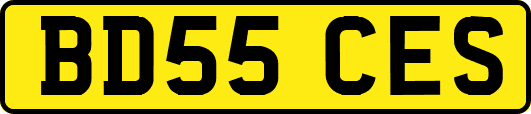 BD55CES