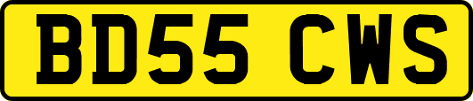 BD55CWS