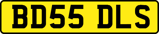 BD55DLS
