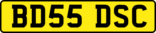 BD55DSC