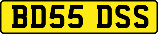 BD55DSS