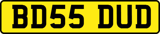BD55DUD