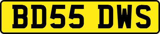 BD55DWS