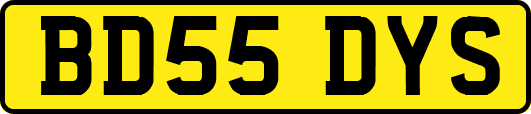 BD55DYS