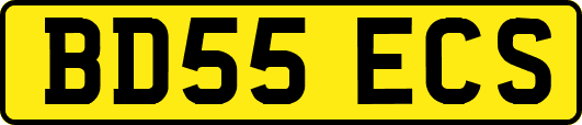 BD55ECS