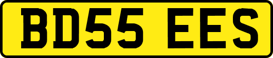 BD55EES