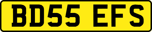 BD55EFS