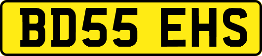 BD55EHS
