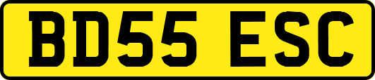 BD55ESC