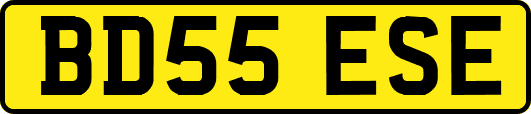BD55ESE
