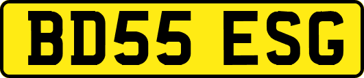 BD55ESG